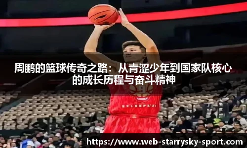 星空体育官网下载