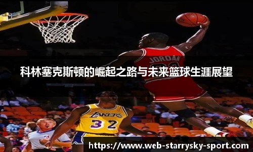 星空体育官网入口